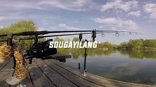 Sougayilang fishing tackle SW22B 4 swinger \fishing gear