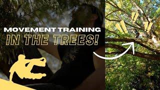 PARKOUR & MOVEMENT TRAINING | High Up & Over the Trees