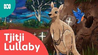 Singing Baby Animals To Sleep | Tjitji Lullaby | ABC Kids