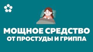 Мощное средство от простуды и гриппа. Чем лечить простуду?