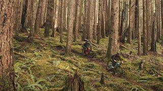 Dance in the Woods - Best MTB Trail Experience Pacific Northwest