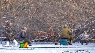 ВОТ ЭТО КОРЯГИ! ОНИ МАНЯТ РЫБАКОВ! ПЕРВЫЙ ЛЕД ДОМА! Первый лед 2024-25. Зимняя рыбалка.