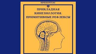 Примитивные рефлексы и способы работы с ними