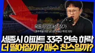 세종시 아파트 33주 연속 하락! 더 떨어질까? 매수 찬스일까? (옥동자 강대성 작가 4부)