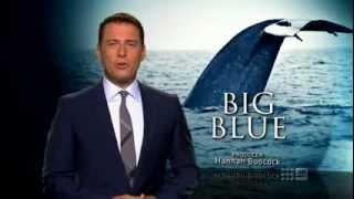 Nine Network - 60 Minutes Blue Whale research