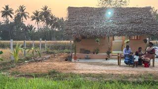 கிராமத்து சிறுகீரை கடையல்|sirukeerai kadaiyal in Tamil|சுவையானsirukeerai vadai recipe|villagehouse