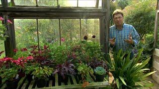 Garden Secrets - Alan Titchmarsh - 19th Century