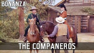 Bonanza - The Companeros | Episode 163 | Cult Western Series | Free Western | English