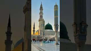 Bokhari Sunni network #