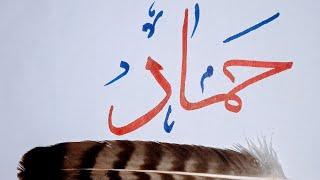 Hammad name Arabic calligraphy/Urdu calligrapy written by Noumani