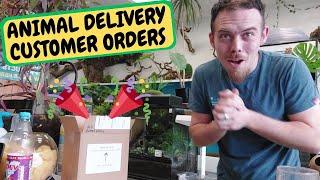 Animal Delivery Day Customer Orders !!!(Snake Island Exotics)