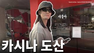 카시나 도산 좋은데요?
