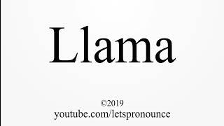 How to Pronounce Llama