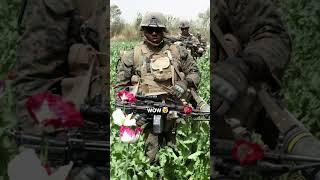 CIA Whistleblower Witnesses Poppy Farm Explosion During War on Terror
