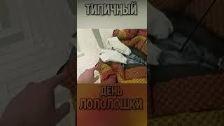 ДЕНЬ ГЛАЗАМИ ЛОЛОЛОШКИ  мини РУМ ТУР