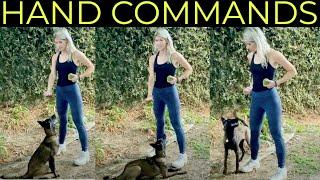 HOW TO TRAIN WITH HAND COMMANDS | NON-VERBAL DOG TRAINING | Belgian Malinois