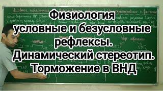 Физиология условных и безусловных рефлексов. Динамический стереотип. Торможение в ВНД