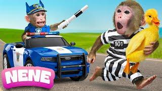 Monkey NeNe Pretend Play Paw Patrol Catch The Thief & Make Candy With Duckling | NENE ANIMAL MONKEY