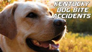 Kentucky Dog Bite Accidents | Louisville Personal Injury Attorney