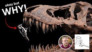 How did birds survive the dino-extinction? Interview with paleontologist, Albert Chen!