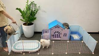 Build Garden House (Have Pool) for Pomeranian Poodle Puppies & Kitten with Wood & Metal - Mr Pet #24