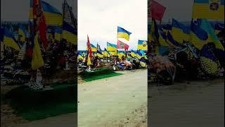 Военная истерия как средство единения нации #shorts