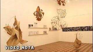 Sedeculta y Proyecto Y impulsan a 14 artistas visuales, alumnos y egresados de la UNAY [Video Nota]