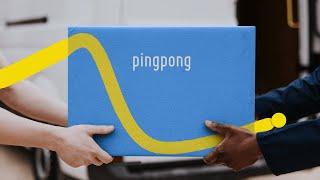 Revolutionize Your Global Payments with PingPong - The World's Success Partner