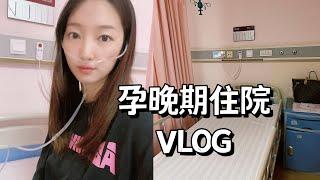 VLOG 孕晚期突然被医生扣下住院 | 肝功能异常！怀孕真不容易呀