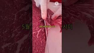 5월 24일(토) 육사시미