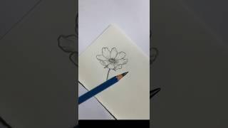 Simple Flower Drawing | Easy Art for Beginners #FlowerDrawing #ArtShorts#YouTubeShorts #flowerart