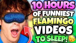 *10 HOURS* OF “FUNNIEST” FLAMINGO VIDEOS TO FALL ASLEEP! (ROBLOX/MARATHON)