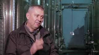 Put do robne marke ep. 108 06.03.2023. Vinarija "Doja", Blace, prokupac