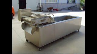 Industrial ozone vegetable washer for all fruits and vegetables washing and sterilizing