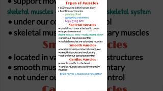 Types of muscles, smooth muscles, skeletal muscles, cardiac muscles, medical Shorts, youtube shorts