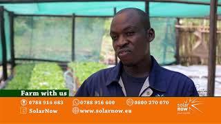 SOLAR NOW FARM WITH US -  RONALD MIGADDE OMULIMI WE MWANYI / FARMER OF COFFEE WILT DISEASE RESISTANT