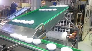 Disposable Plate Packaging Machine