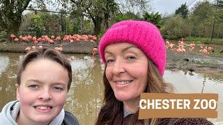 CHESTER ZOO!