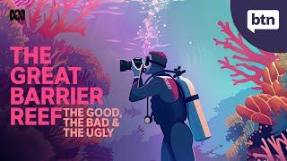 The Great Barrier Reef Five Year Health Report - Behind the News