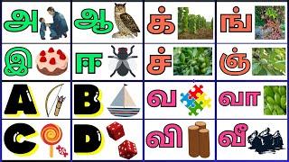 உயிர் எழுத்துக்கள் || ENGLISH ALPHABETS ||  க் ங் ச் ஞ் ட் ண் த் ந் ப் || வ வா வி வீ வு வூ வெ வே வை