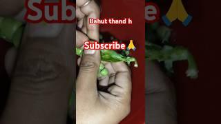 Laut aao December #funnyvideos  #shorts #ytvideo #trending Subscribe 