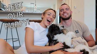 MEET OUR PUPPY! | How old is he, what kind of puppy is he, what is his personality like, and more!