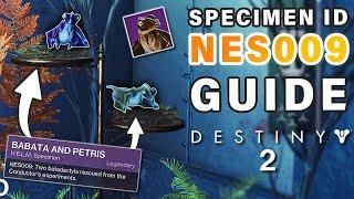 How to Complete Failsafe SPECIMEN ID: NES009 Complete Guide | FAST & EASY ► Destiny 2