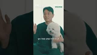 푸우형 비긴즈! 푸우형의 탄생기를 들어보다! [IFULUV이퓨럽] VIBE - EP06 푸우형 그리고 푸우 #푸우형 #강아지 #반려동물 #반려견 #이퓨럽 #이퓨럽바이브
