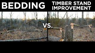 Bedding Cuts And TSI For Deer | WHAT'S THE DIFFERENCE?!