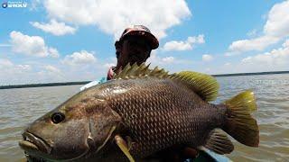 MANCING IKAN KAKAP DI MUARA SUNGAI BESAR