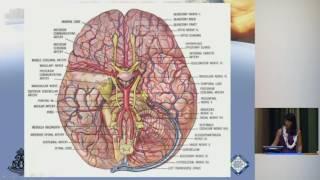 Clinical Vignettes