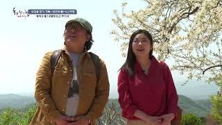 화첩기행 영주- 부석사 영주의 봄! 서양화가한수희, 기타리스트 홍소림출연 향기(TJB)~