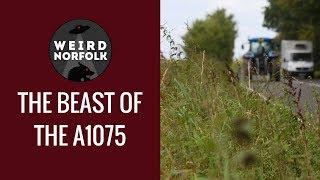 Weird Norfolk - The Beast Of The A1075