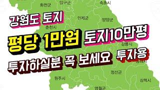 [부동산번호153] 강원도 투자용 토지 10만7천평 입니다 (매매가 11억)